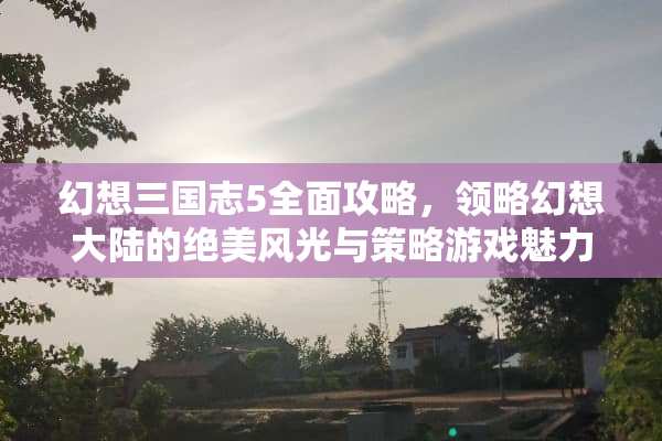 幻想三国志5全面攻略，领略幻想**的绝美风光与策略游戏魅力 风景幻想5攻略游戏