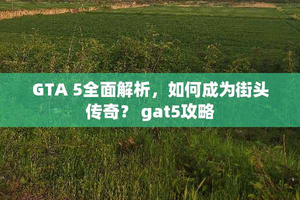 GTA 5全面解析，如何成为街头传奇？ gat5攻略