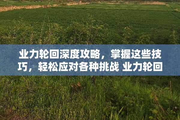 ***回深度攻略，掌握这些技巧，轻松应对各种挑战 ***回攻略