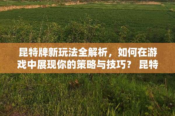 昆特牌新玩法全解析，如何在游戏中展现你的策略与技巧？ 昆特牌新玩法