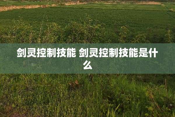 剑灵控制技能 剑灵控制技能是什么