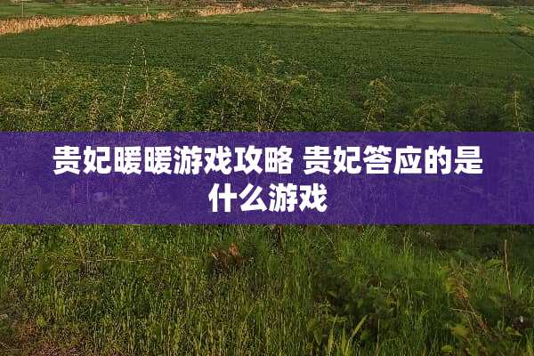 贵妃暖暖游戏攻略 贵妃答应的是什么游戏