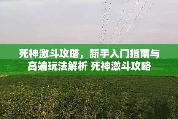 死神激斗攻略，新手入门指南与高端玩法解析 死神激斗攻略