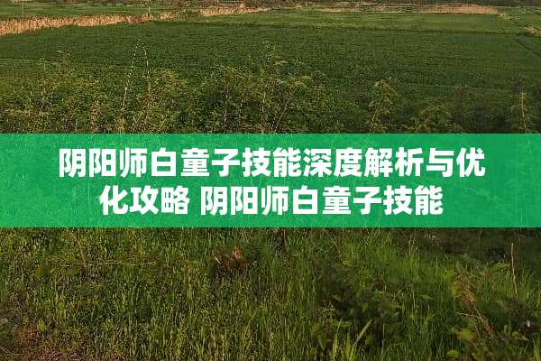 *阳师白童子技能深度解析与优化攻略 *阳师白童子技能