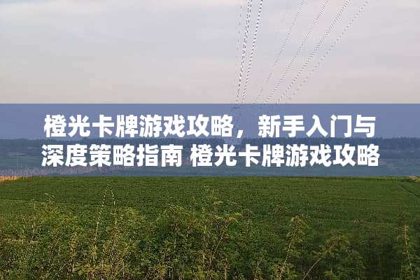 橙光卡牌游戏攻略，新手入门与深度策略指南 橙光卡牌游戏攻略