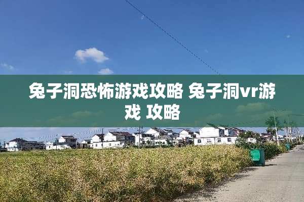 兔子洞恐怖游戏攻略 兔子洞vr游戏 攻略
