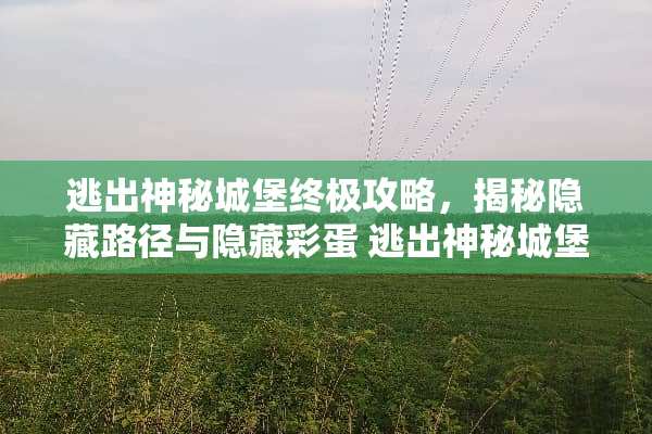 逃出神秘城堡终极攻略，揭秘隐藏路径与隐藏彩蛋 逃出神秘城堡攻略