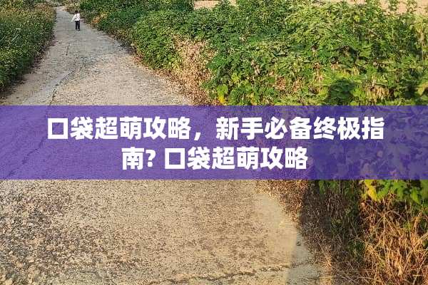 口袋超萌攻略，新手必备终极指南? 口袋超萌攻略