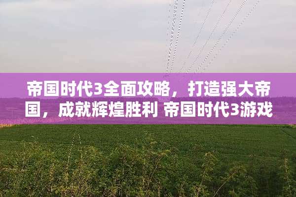 帝国时代3全面攻略，打造强大帝国，成就辉煌胜利 帝国时代3游戏攻略