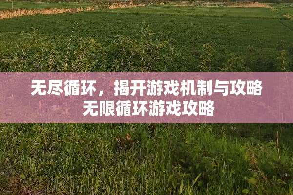 无尽循环，揭开游戏机制与攻略 无限循环游戏攻略