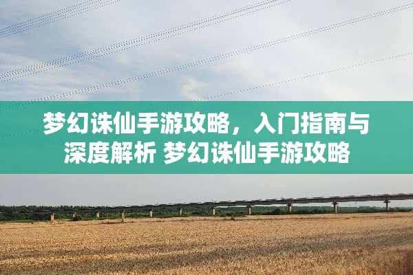 梦幻诛仙手游攻略，入门指南与深度解析 梦幻诛仙手游攻略
