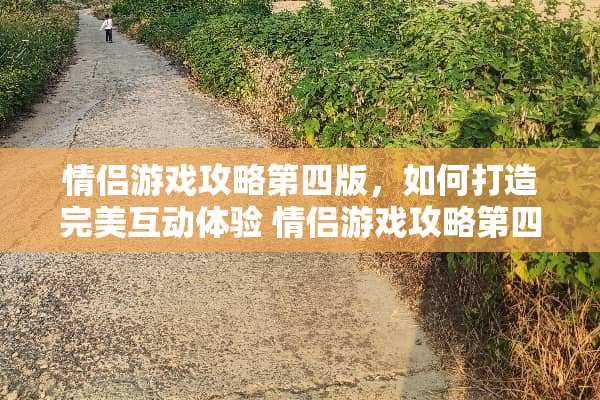 情侣游戏攻略第四版，如何打造完美互动体验 情侣游戏攻略第四