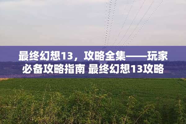 最终幻想13，攻略全集——玩家必备攻略指南 最终幻想13攻略