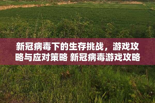新冠**下的生存挑战，游戏攻略与应对策略 新冠**游戏攻略