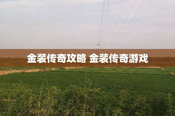金装传奇攻略 金装传奇游戏