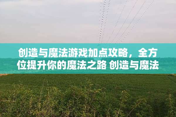 创造与魔法游戏加点攻略，全方位提升你的魔法之路 创造与魔法游戏加点攻略