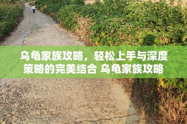 乌龟家族攻略，轻松上手与深度策略的完美结合 乌龟家族攻略