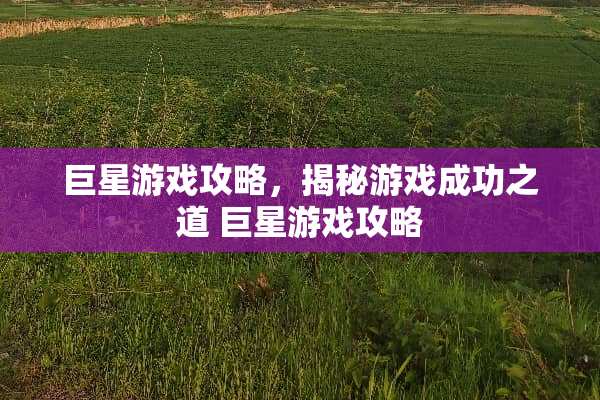 巨星游戏攻略，揭秘游戏成功之道 巨星游戏攻略