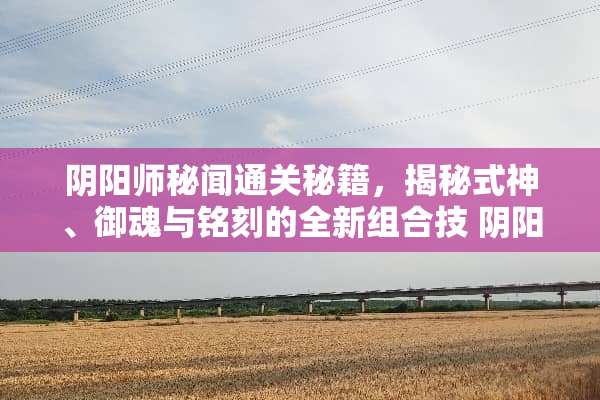 *阳师秘闻通关秘籍，揭秘式神、御魂与铭刻的全新组合技 *阳师秘闻攻略