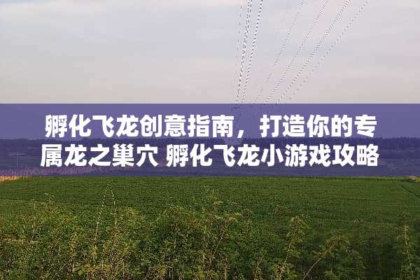 孵化飞龙创意指南，打造你的专属龙之巢* 孵化飞龙小游戏攻略