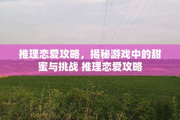 推理恋爱攻略，揭秘游戏中的甜蜜与挑战 推理恋爱攻略