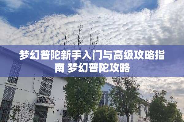 梦幻普陀新手入门与高级攻略指南 梦幻普陀攻略