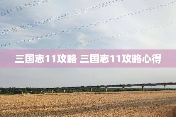 三国志11攻略 三国志11攻略心得