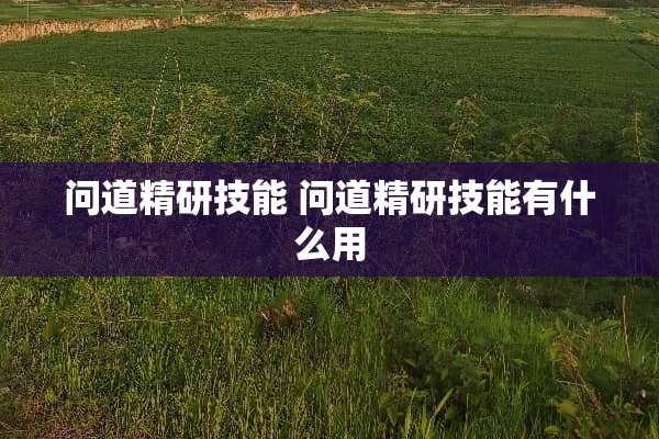 问道精研技能 问道精研技能有什么用