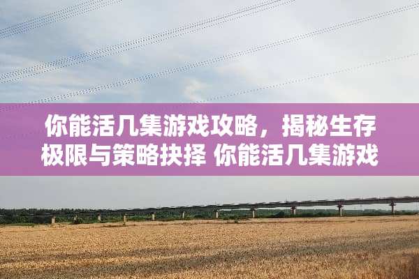 你能活几集游戏攻略，揭秘生存极限与策略抉择 你能活几集游戏攻略