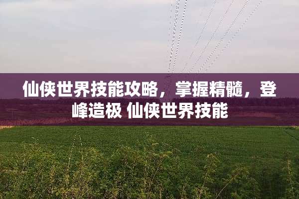 仙侠世界技能攻略，掌握精髓，登峰造极 仙侠世界技能