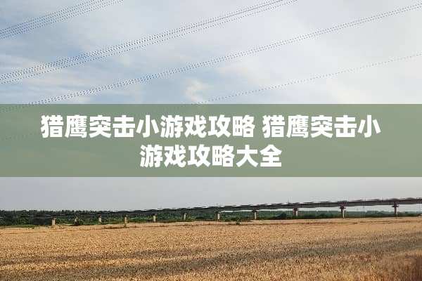 猎鹰突击小游戏攻略 猎鹰突击小游戏攻略大全