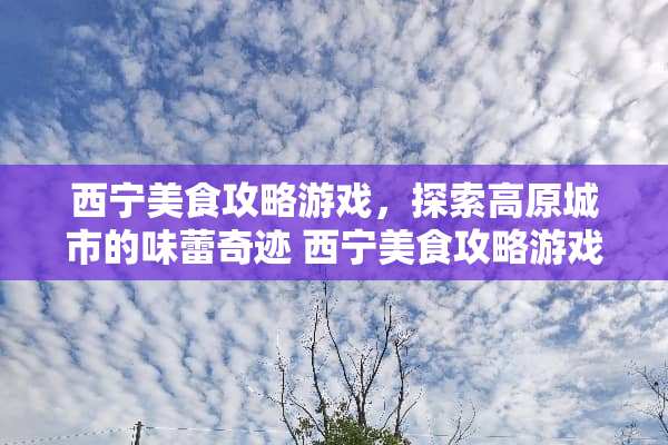 西宁美食攻略游戏，探索高原城市的味蕾奇迹 西宁美食攻略游戏