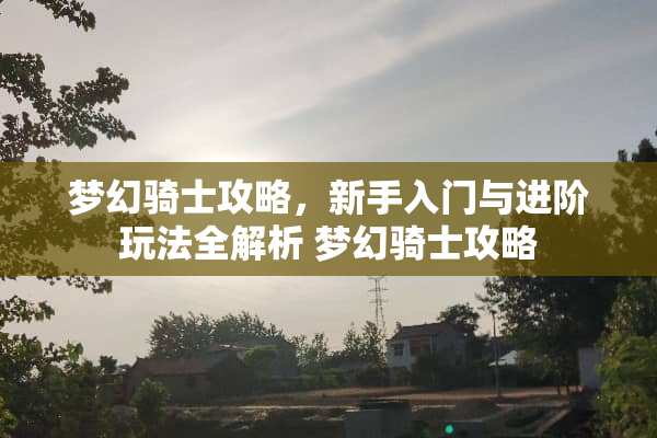 梦幻骑士攻略，新手入门与进阶玩法全解析 梦幻骑士攻略