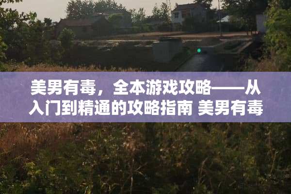 美男有毒，全本游戏攻略——从入门到精通的攻略指南 美男有毒全本游戏攻略