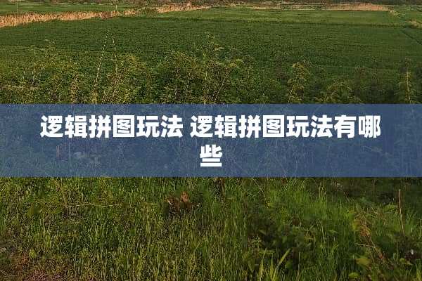 逻辑拼图玩法 逻辑拼图玩法有哪些