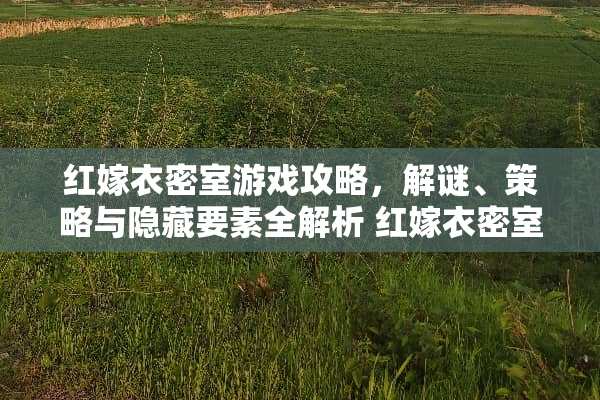 红嫁衣密室游戏攻略，解谜、策略与隐藏要素全解析 红嫁衣密室游戏攻略