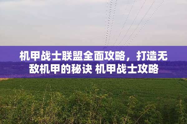 机甲战士联盟全面攻略，打造无敌机甲的秘诀 机甲战士攻略