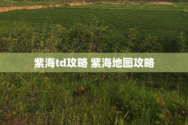 紫海td攻略 紫海地图攻略