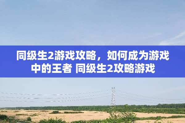 同级生2游戏攻略，如何成为游戏中的王者 同级生2攻略游戏