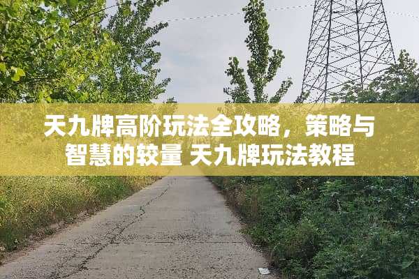 天九牌高阶玩法全攻略，策略与智慧的较量 天九牌玩法教程