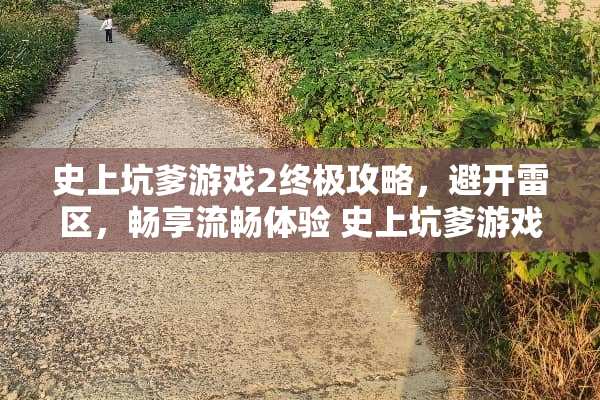 史上坑爹游戏2终极攻略，避开雷区，畅享流畅体验 史上坑爹游戏2攻略24