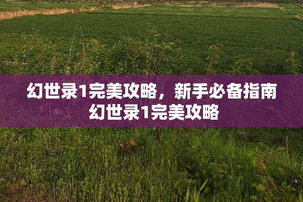 幻世录1完美攻略，新手必备指南 幻世录1完美攻略