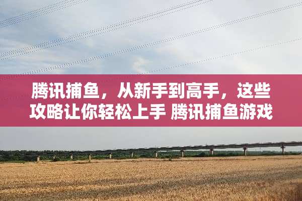腾讯捕鱼，从新手到高手，这些攻略让你轻松上手 腾讯捕鱼游戏攻略