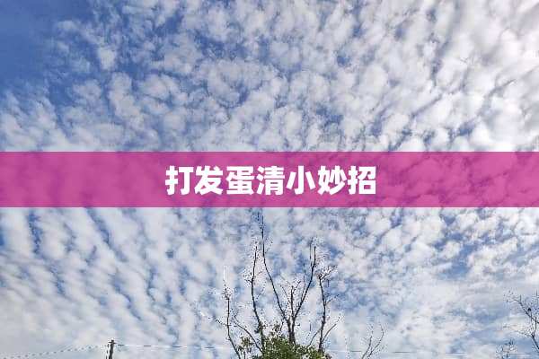 打发蛋清小妙招
