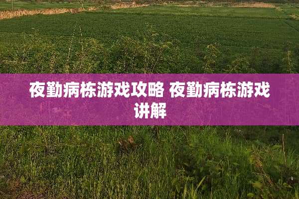 ****游戏攻略 ****游戏讲解