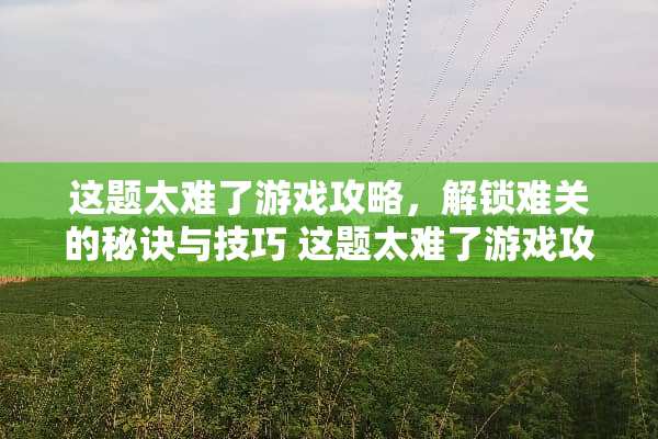 这题太难了游戏攻略，解锁难关的秘诀与技巧 这题太难了游戏攻略