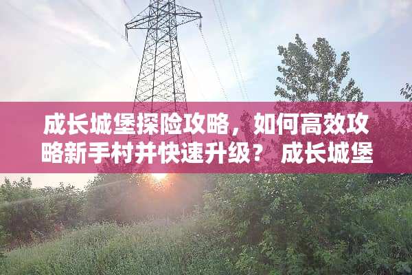 成长城堡探险攻略，如何高效攻略新手村并快速升级？ 成长城堡攻略