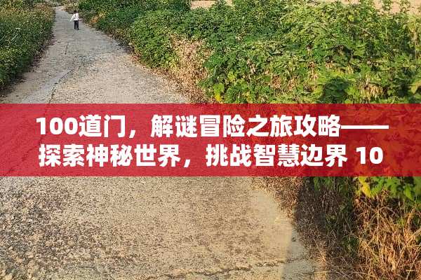 100道门，解谜冒险之旅攻略——探索神秘世界，挑战智慧边界 100道门攻略