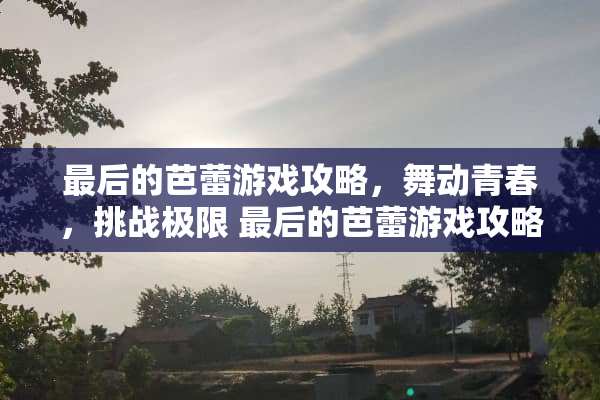 最后的芭蕾游戏攻略，舞动青春，挑战极限 最后的芭蕾游戏攻略