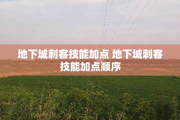 **城刺客技能加点 **城刺客技能加点顺序